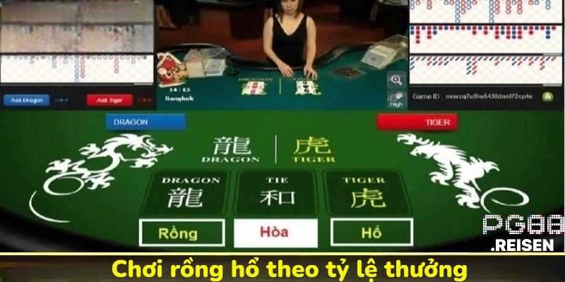 Chơi Rồng Hổ theo tỷ lệ thưởng
